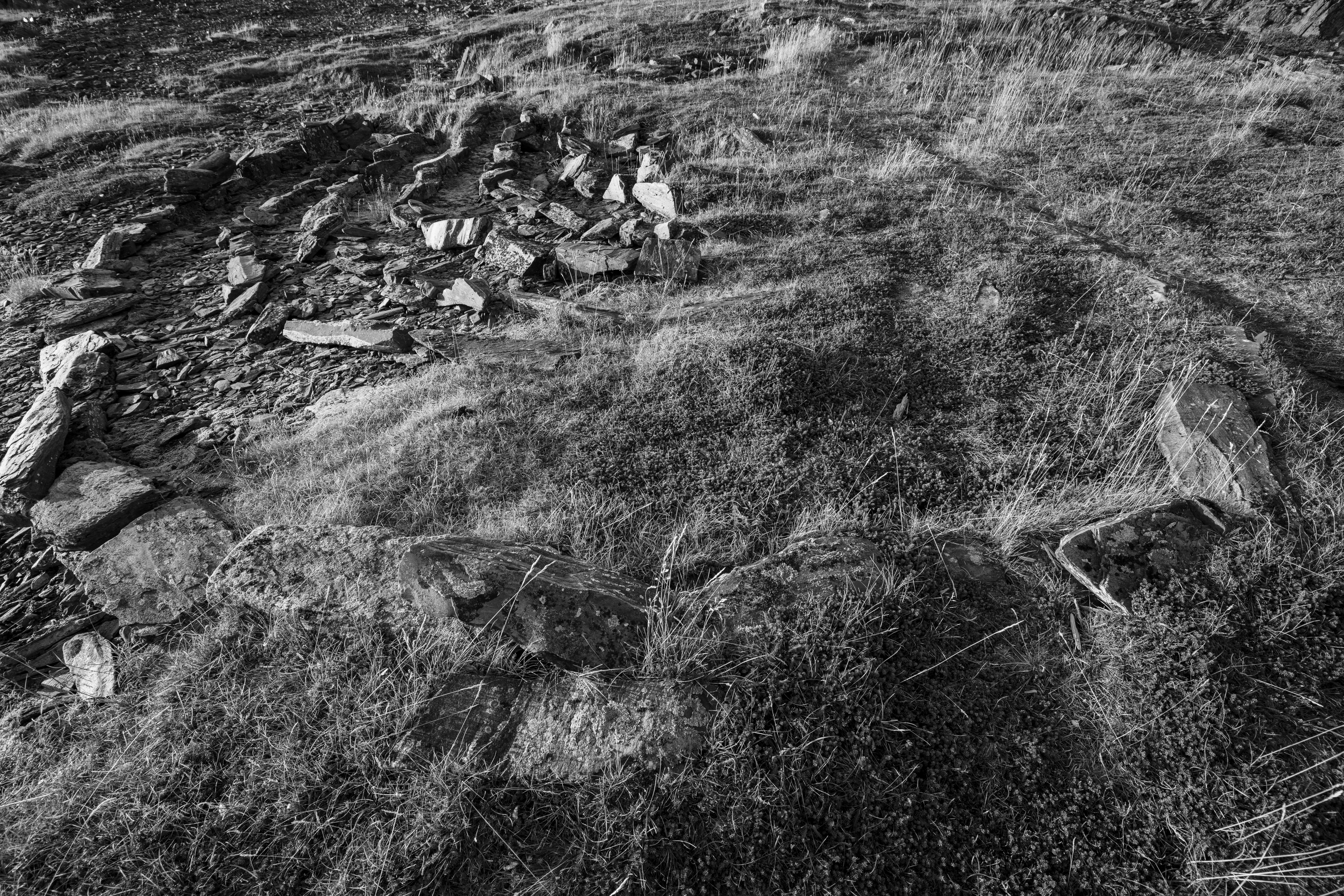 SYNNØVE PERSEN – Hellig landskap
