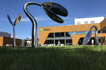 RINGSAKER VIDEREGÅENDE SKOLE – Ringsaker 2022
